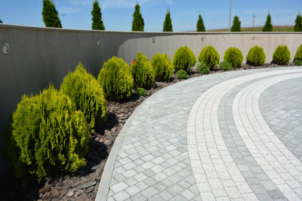 Best Commercial Driveway Pavers  in Mante, CA